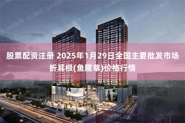 股票配资注册 2025年1月29日全国主要批发市场折耳根(鱼腥草)价格行情