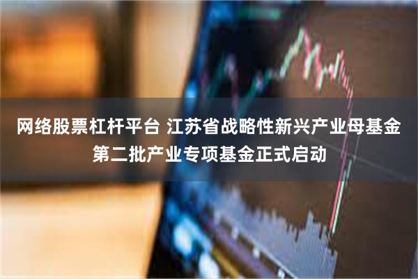 网络股票杠杆平台 江苏省战略性新兴产业母基金第二批产业专项基金正式启动