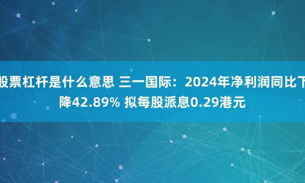 股票杠杆是什么意思 三一国际：2024年净利润同比下降42.89% 拟每股派息0.29港元