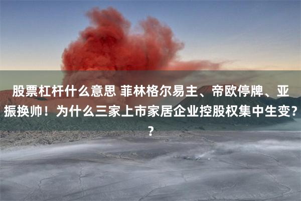 股票杠杆什么意思 菲林格尔易主、帝欧停牌、亚振换帅！为什么三家上市家居企业控股权集中生变？