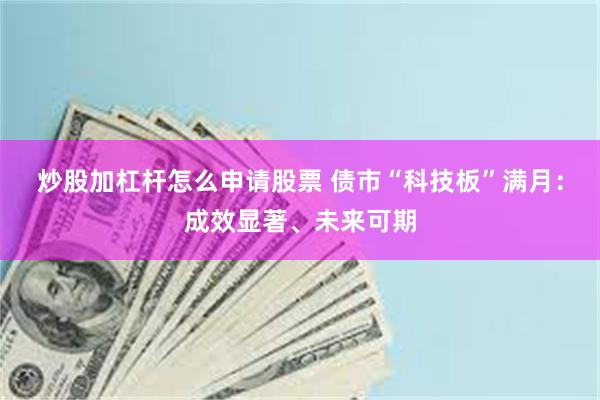 炒股加杠杆怎么申请股票 债市“科技板”满月：成效显著、未来可期