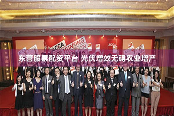 东营股票配资平台 光伏增效无碍农业增产